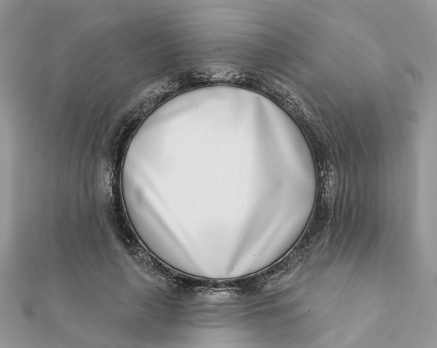 X0000111890643200908131655