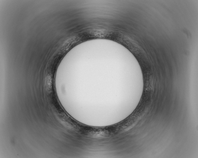 X0000111890646200908131655