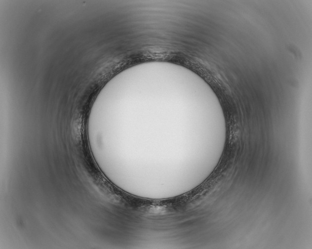 X0000111890647200908131656