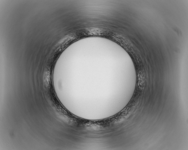 X0000111890648200908131656