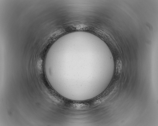 X0000111890650200908131656