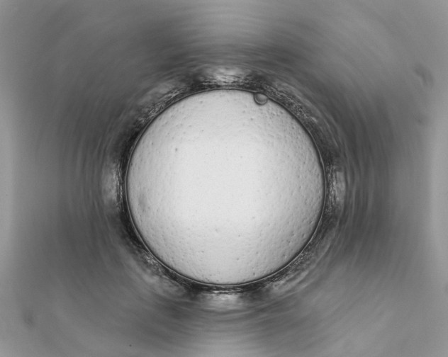 X0000111890651200908131656