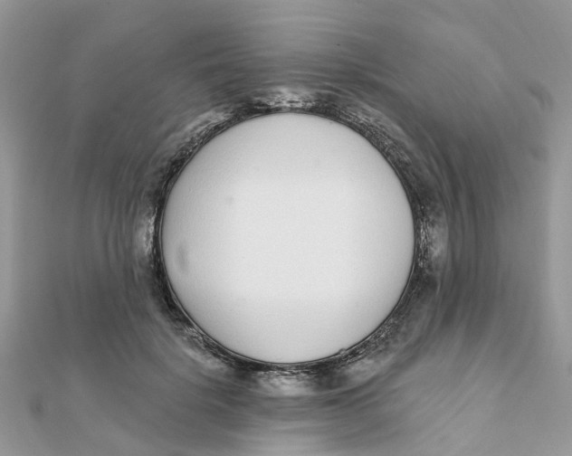 X0000111890652200908131656