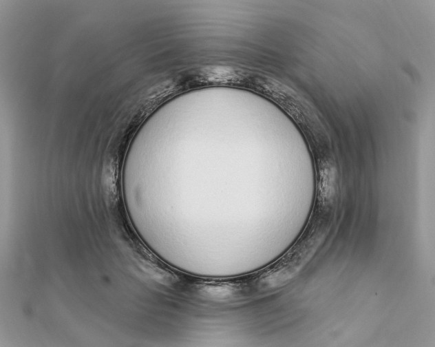 X0000111890653200908131656