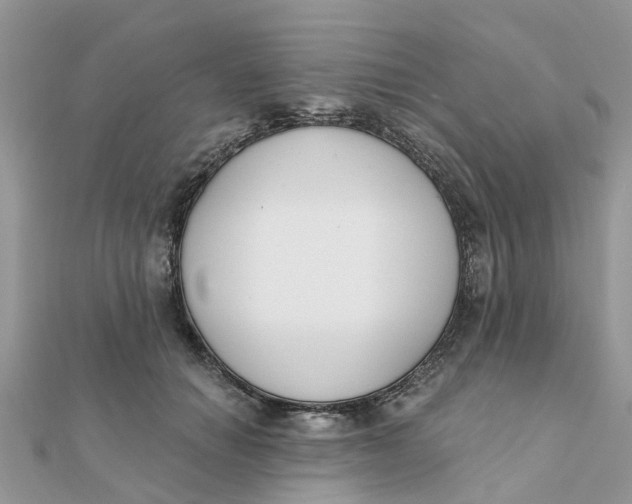 X0000111890654200908131656