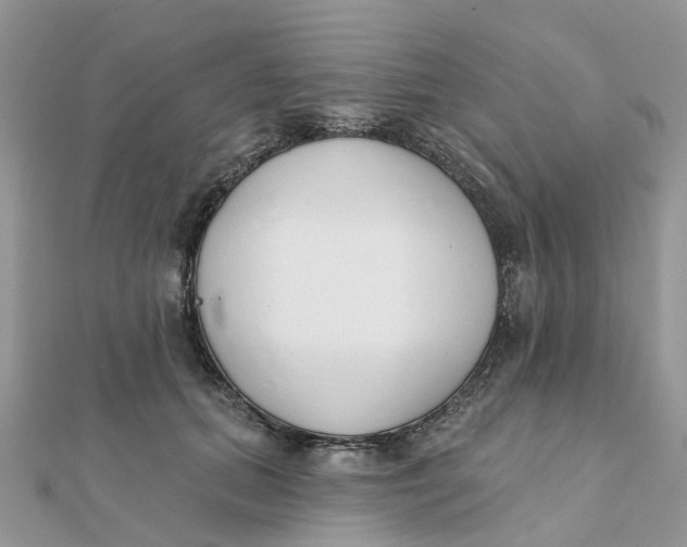 X0000111890655200908131656