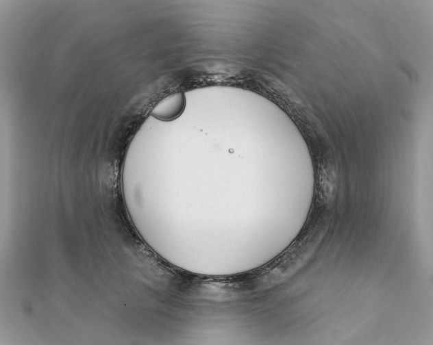 X0000111890657200908131656