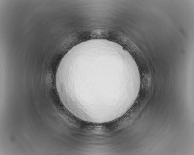 X0000111890659200908131656