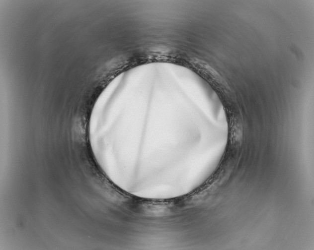 X0000111890661200908131656