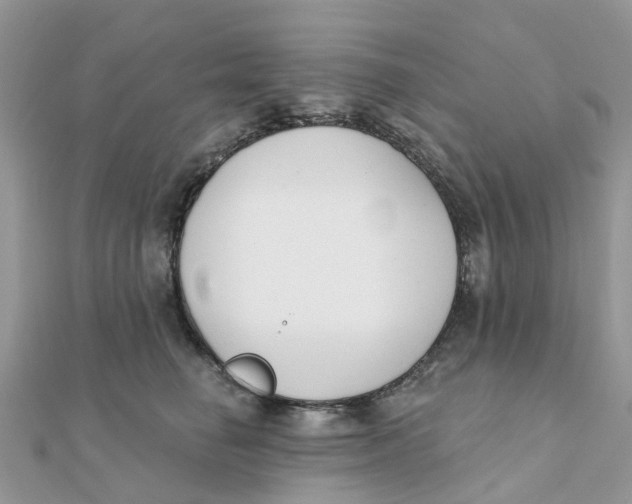 X0000111890662200908131656