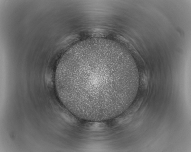 X0000111890663200908131656