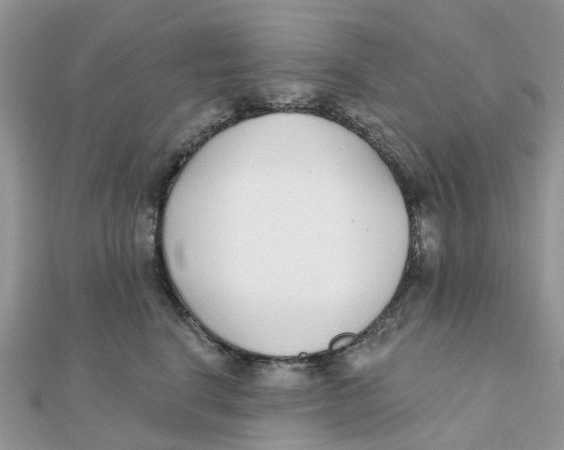 X0000111890664200908131656