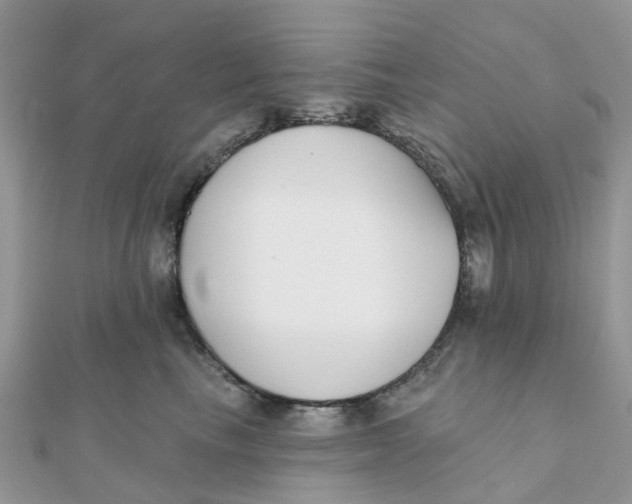 X0000111890665200908131656