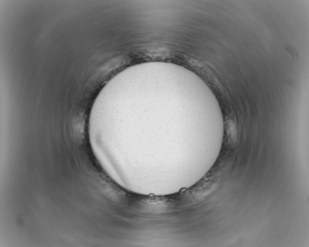 X0000111890668200908131656