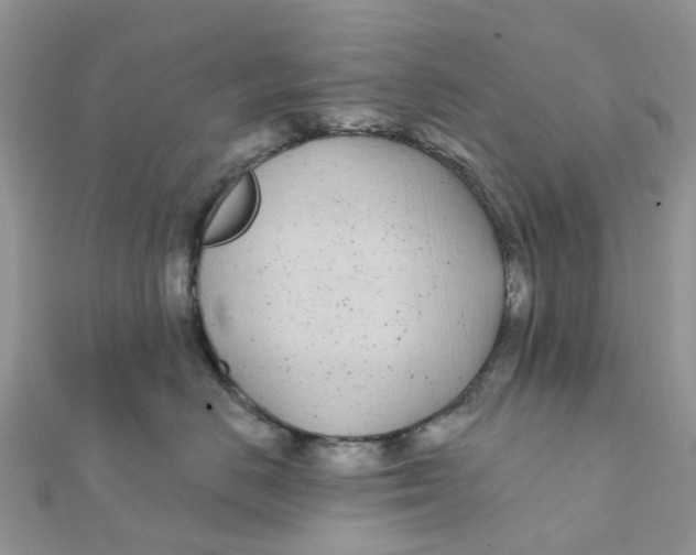 X0000111890670200908131656