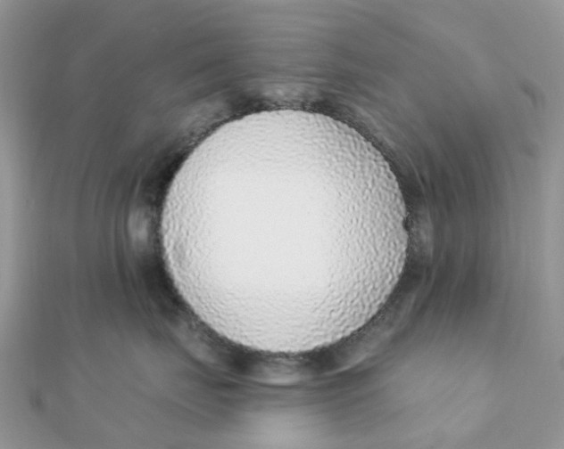 X0000111890671200908131656