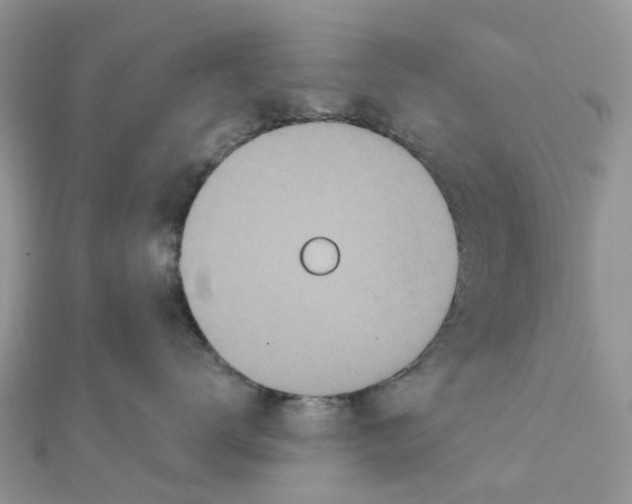 X0000111890672200908131656