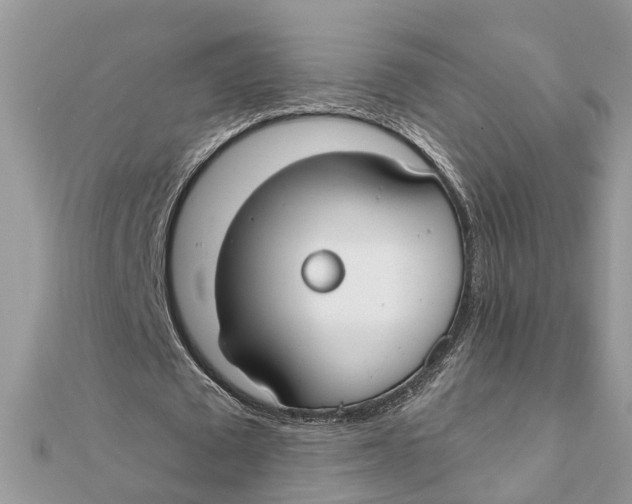 X0000111890673200908131655