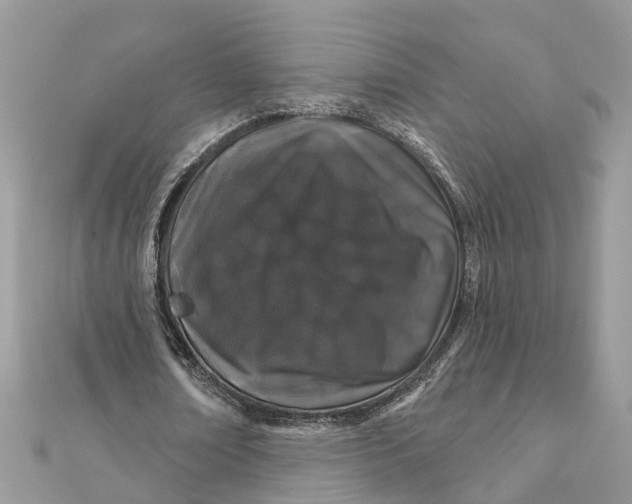 X0000111890674200908131655