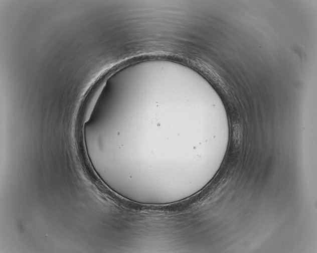 X0000111890676200908131655