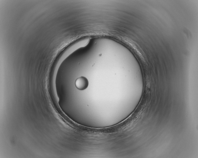 X0000111890677200908131655