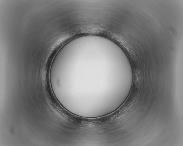 X0000111890679200908131655