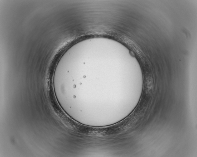 X0000111890680200908131655