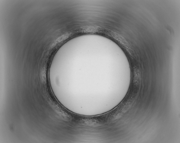 X0000111890681200908131655