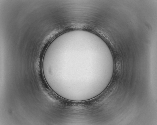 X0000111890682200908131655