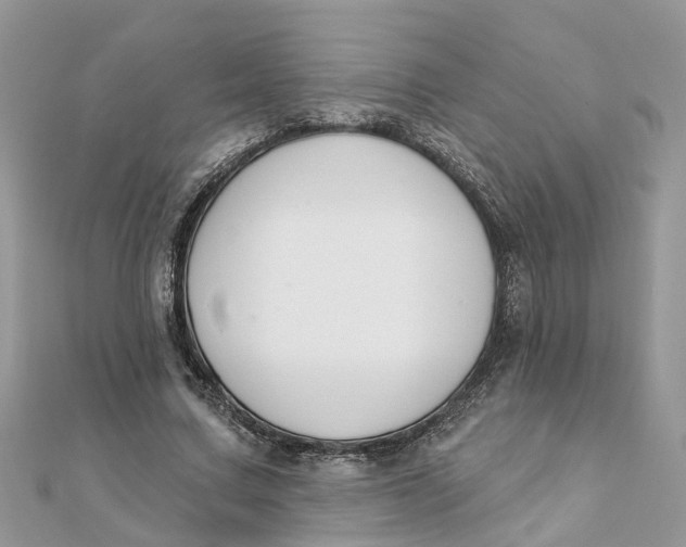 X0000111890683200908131655