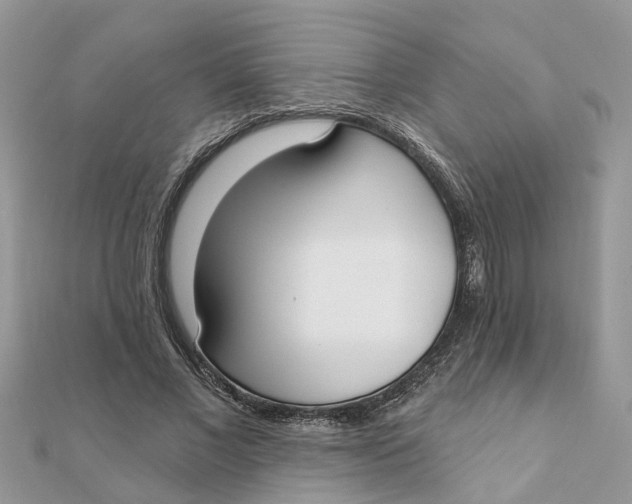 X0000111890685200908131655