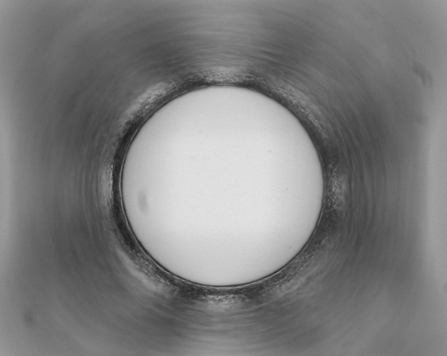 X0000111890686200908131655