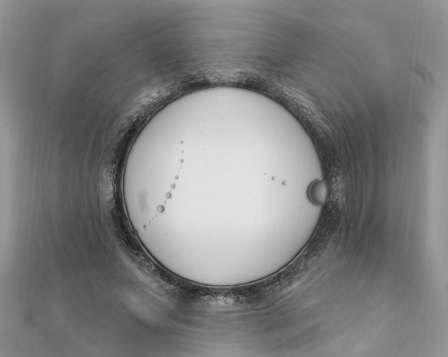 X0000111890687200908131655