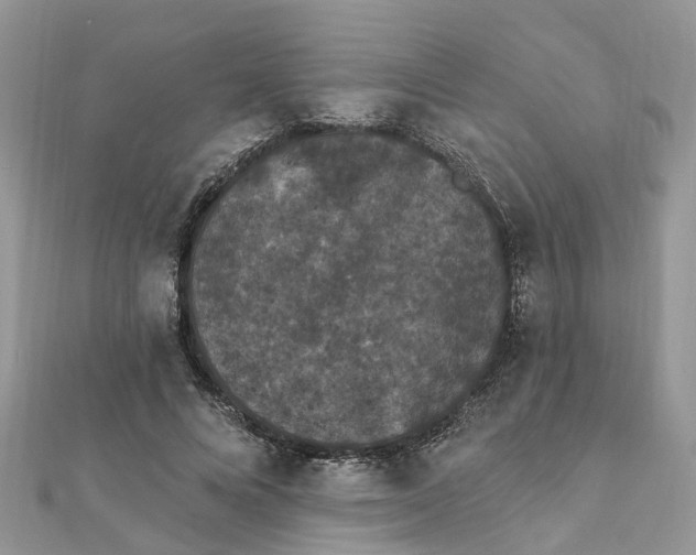 X0000111890688200908131655