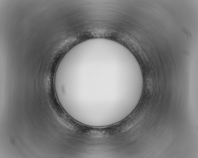 X0000111890690200908131655