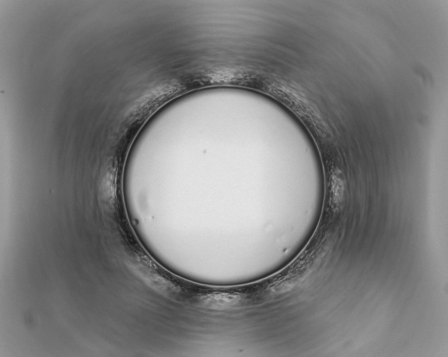 X0000111890691200908131655