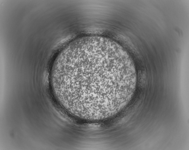 X0000111890692200908131655