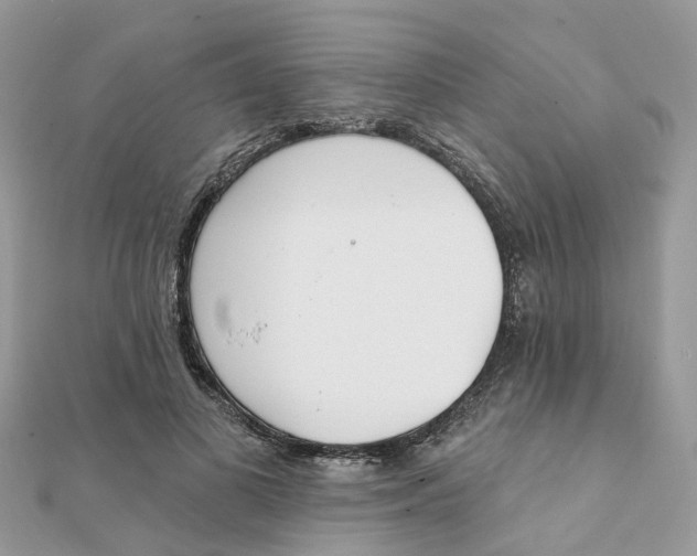 X0000111890693200908131655