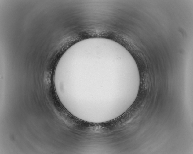 X0000111890695200908131655