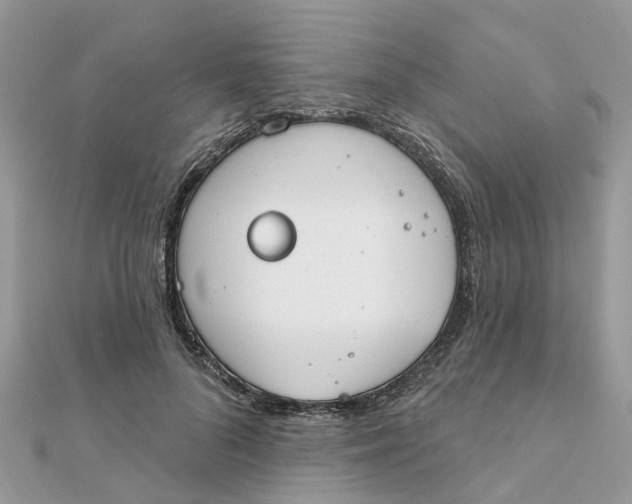 X0000111890696200908131655