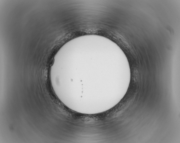 X0000111890697200908131655