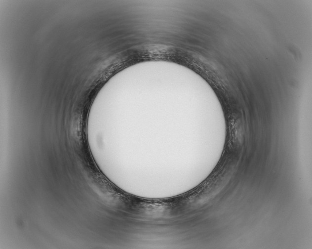 X0000111890698200908131655