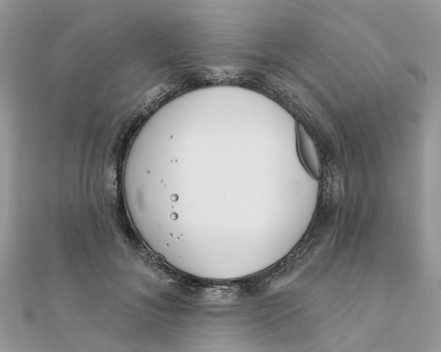 X0000111890700200908131655