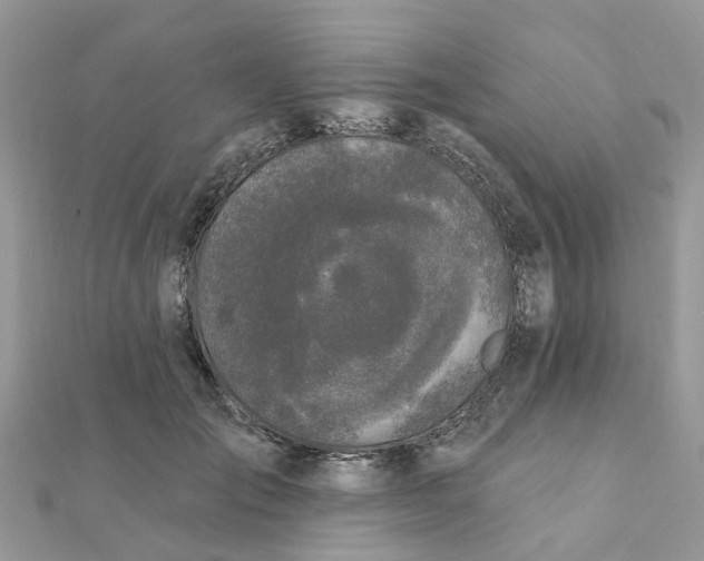 X0000111890701200908131655