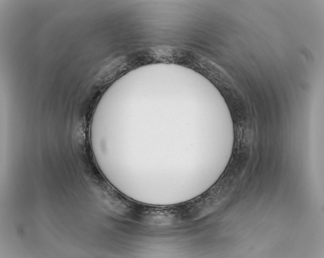 X0000111890702200908131655