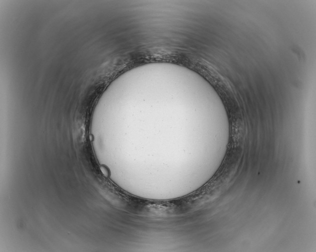 X0000111890703200908131655