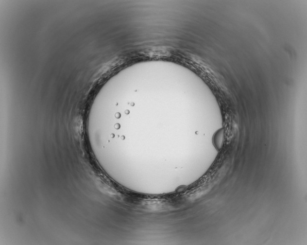 X0000111890704200908131655