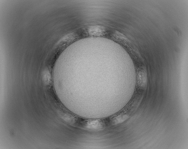 X0000111890705200908131655