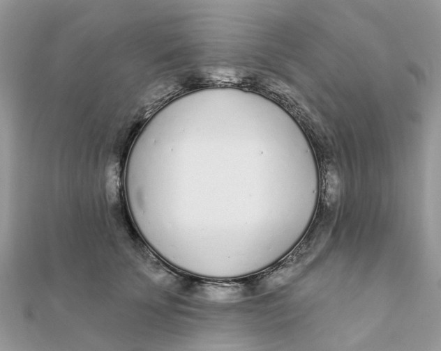 X0000111890707200908131655