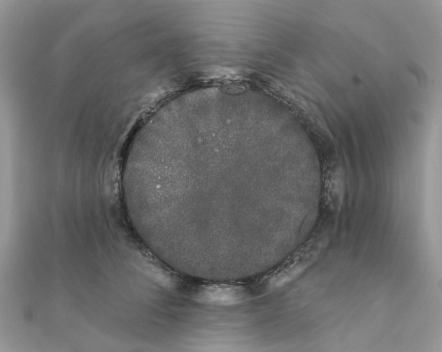 X0000111890708200908131655